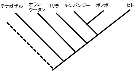 図2