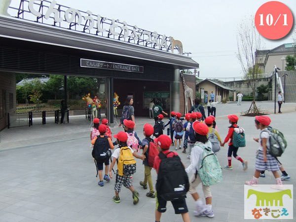 2015年1月1日に天王寺動物園は開園100周年を迎えました。 10月1日は新ゲート「てんしばゲート」がオープンしました。