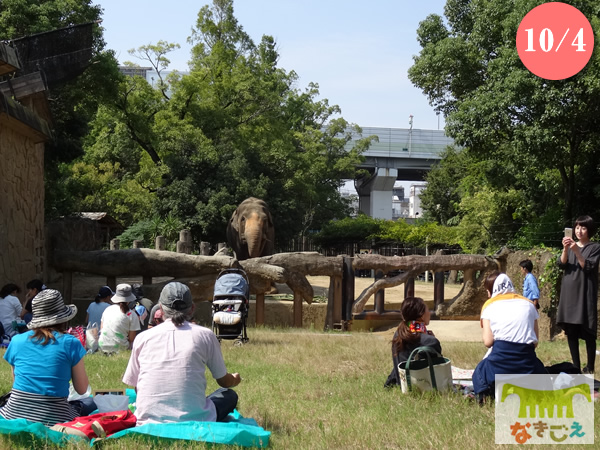 10月4日に開催した「ラニー博子と一緒にランチ」 10月4日に開催した「ラニー博子と一緒にランチ」