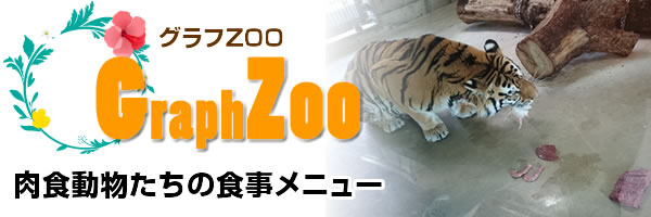 肉食動物たちの食事メニュー