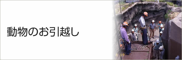 動物のお引越し