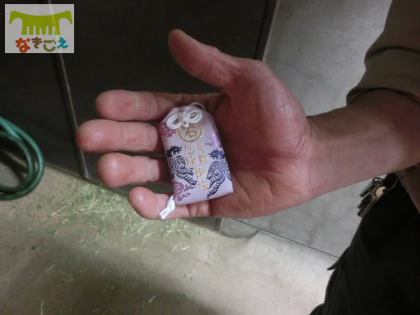 天王寺動物園での搬入作業 17時15分 とべ動物園から、無事に到着してほしいとお守りも一緒に届きました。