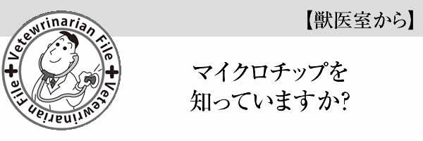 動物園で研究！？