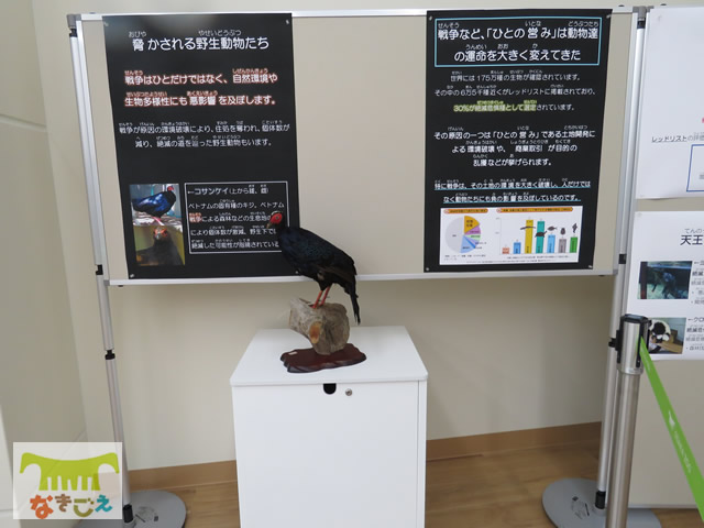 パネル展示の様子