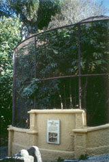 �R�����钹��