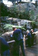 �J���m�n�V