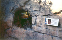 �j�V�L�w�r�̓W��